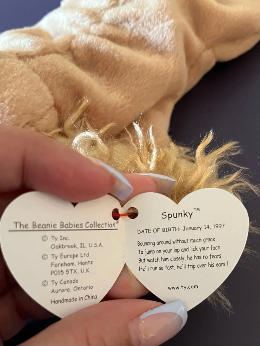Ty beanie baby